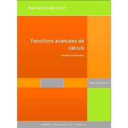 Manuel Autoformation Excel 2013 Fonctions de calculs avancées